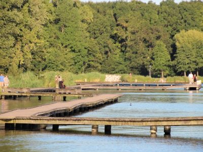 Kralingse bos
