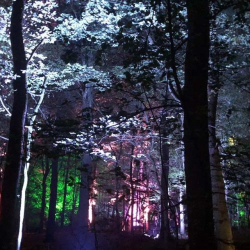 kralingse bos