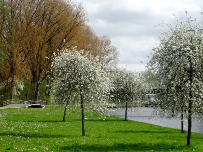 zuiderpark