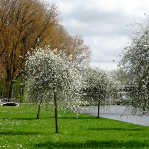 zuiderpark